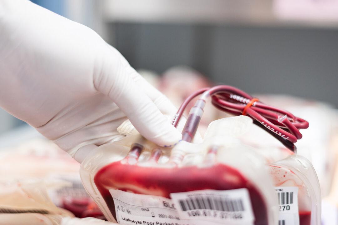 Australian Red Cross Calls for Blood Donations Over Christmas
