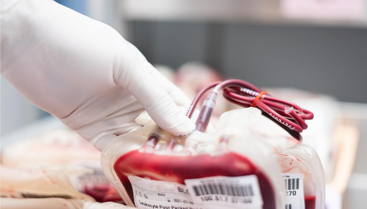 Australian Red Cross Calls for Blood Donations Over Christmas
