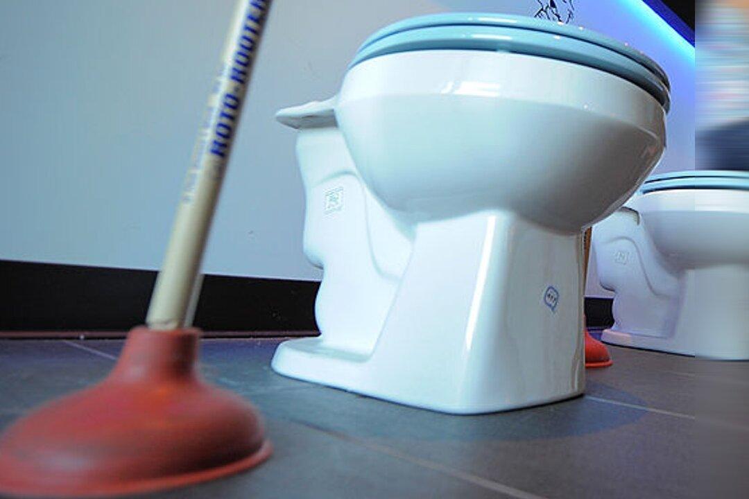 Abandoned Fetus Blocked the Toilet in a South African Domestic Airplane