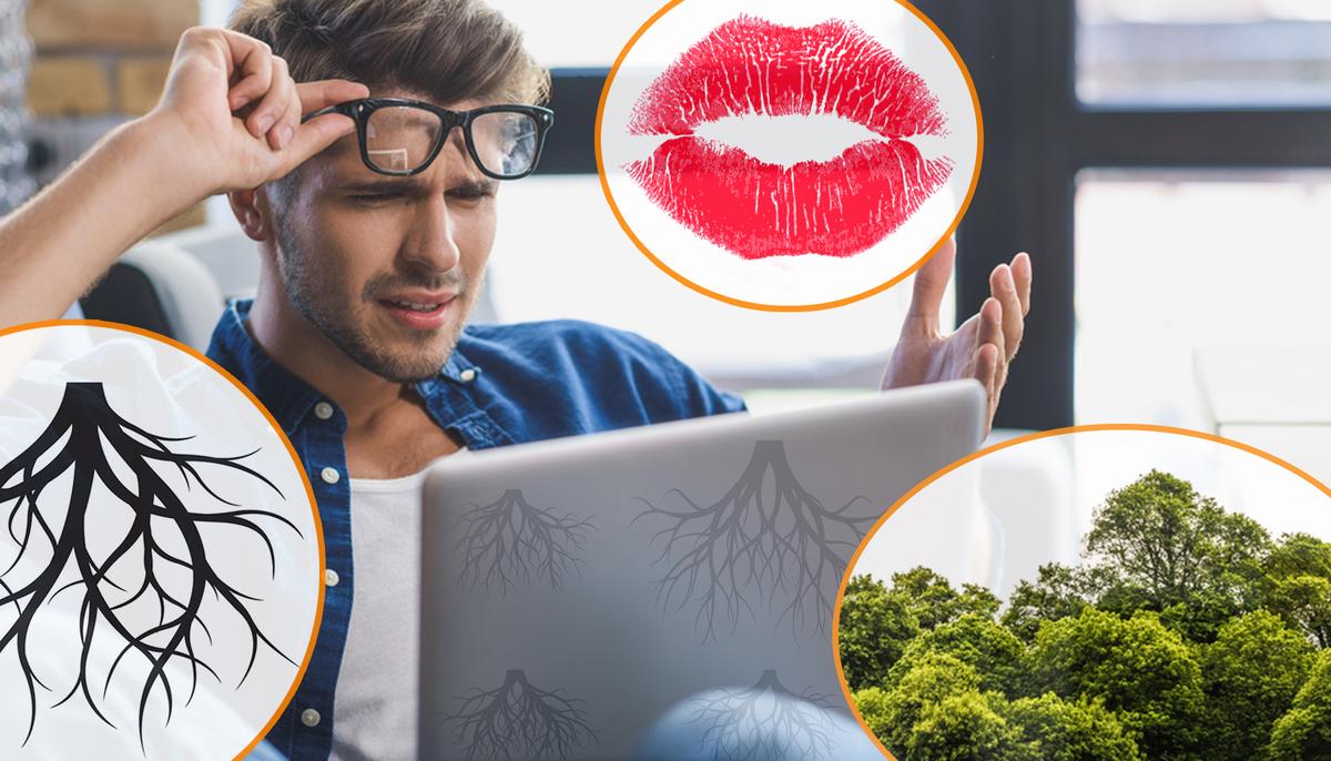 The First Thing You See in This Photo Will Reveal Hidden Truths in Your Personality