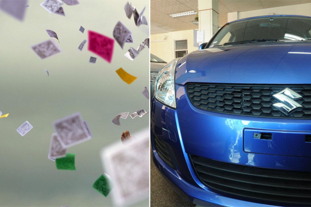 Surprising Reason Why Man Had License Plate Covered by Paper After Being Pulled Over