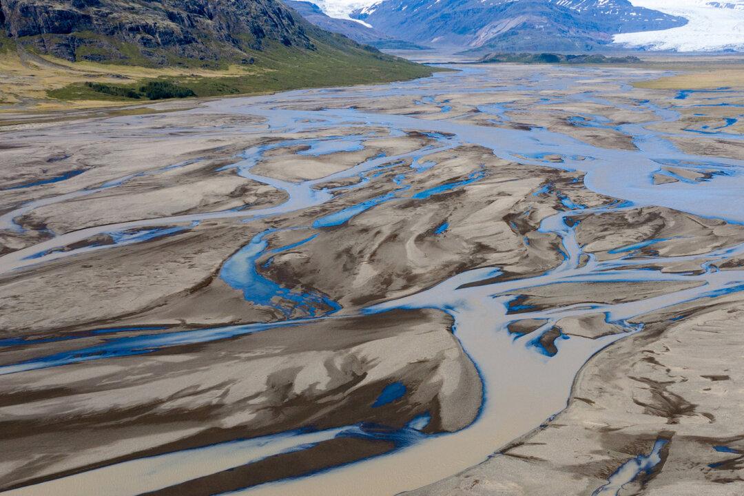 Rancher Finds Colossal Columbian Mammoth in Riverbed, Could Be 20,000 Years Old