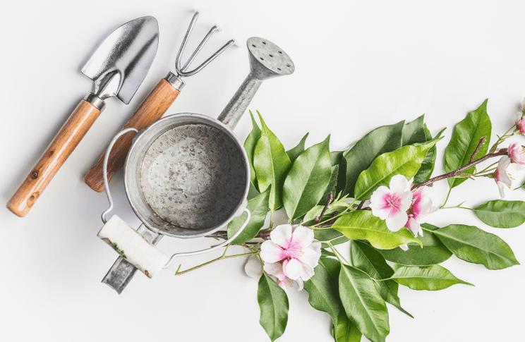 Gardening as an Exercise in Self-Forgiveness
