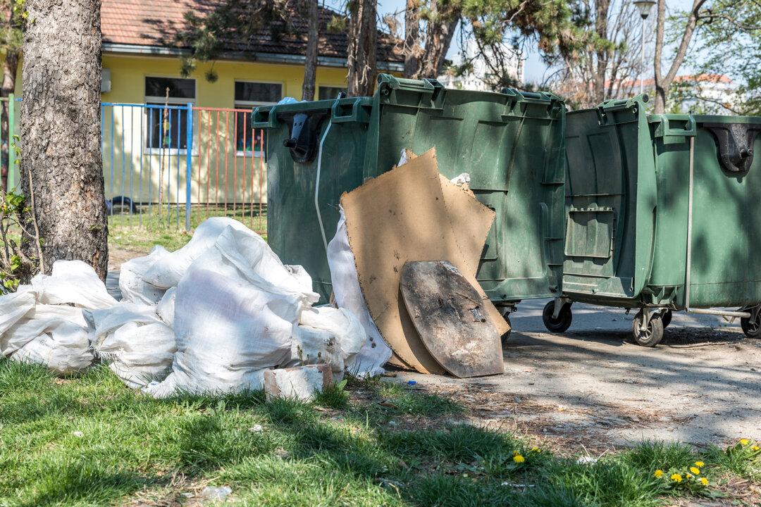 Dog Discarded Like Trash in Sealed Box Kept Wagging Tail, Hoping Someone Might Help