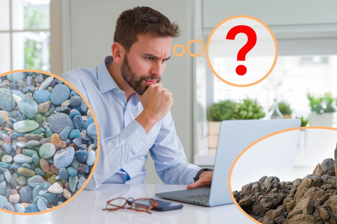 Tricky Optical Illusions: Can You Spot the Hidden Faces in These Pictures?