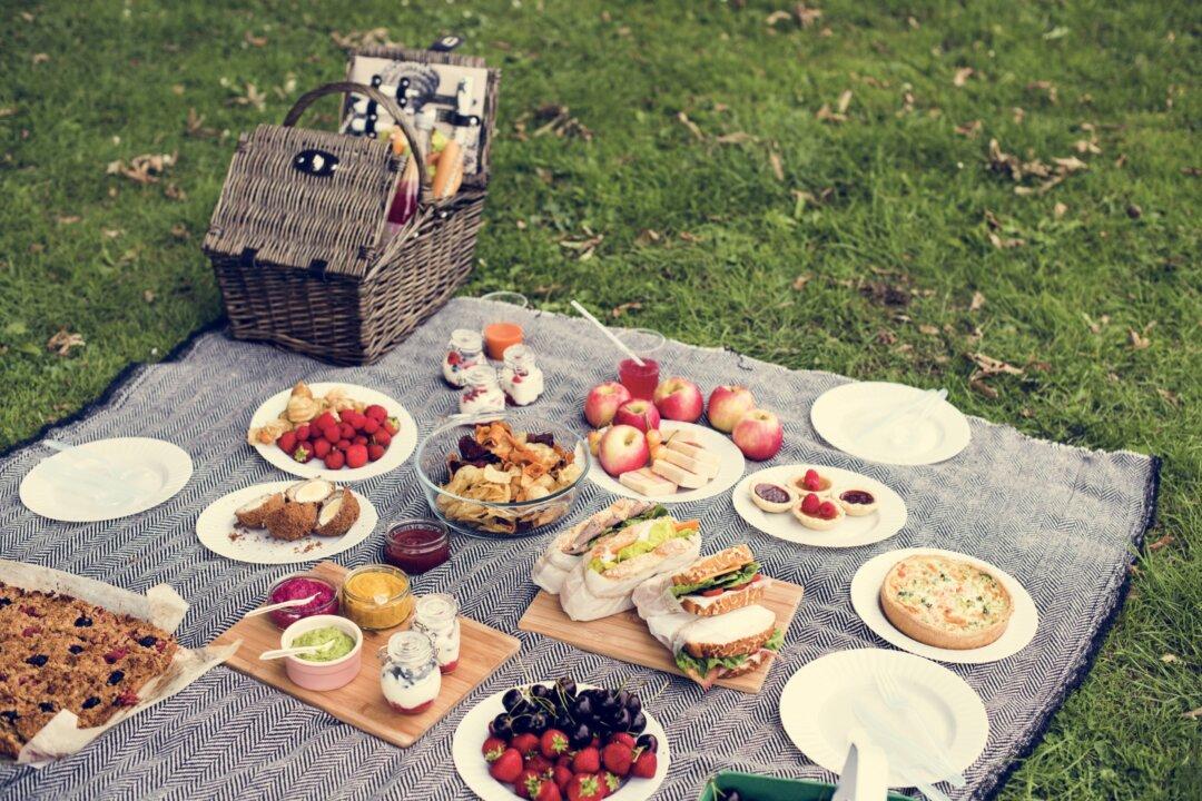 The Allure of the Picnic