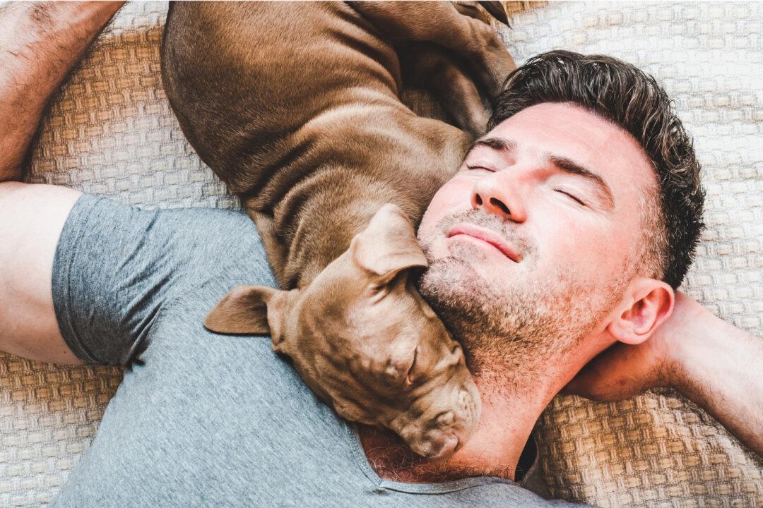 Video: Firefighter’s Reunion With Pit Bull Pup He Rescued Is Too Cute for Words