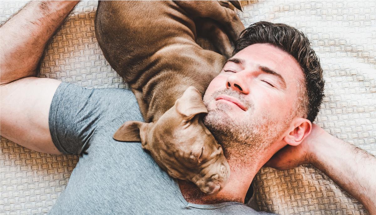 Video: Firefighter’s Reunion With Pit Bull Pup He Rescued Is Too Cute for Words