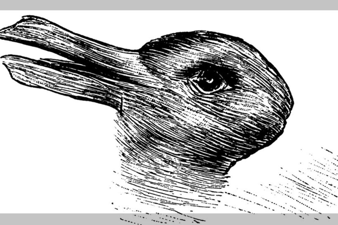 127-Year-Old Famous Illusion Can Reveal Interesting Aspects of Your Personality