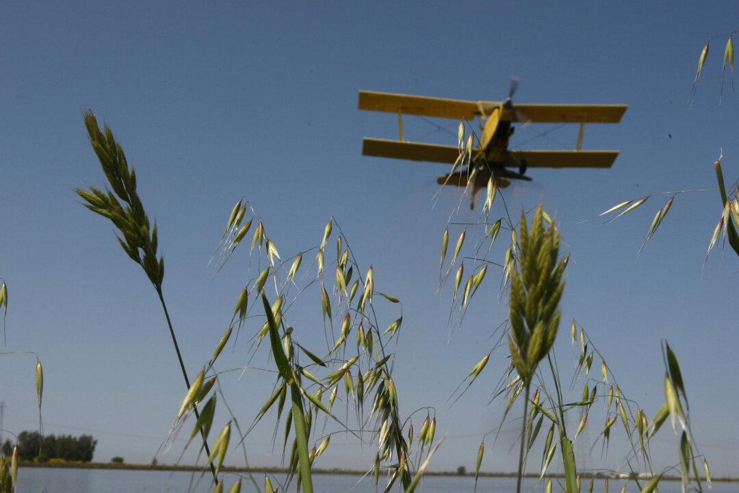 For the First Time Ever, United States Sells Rice to China