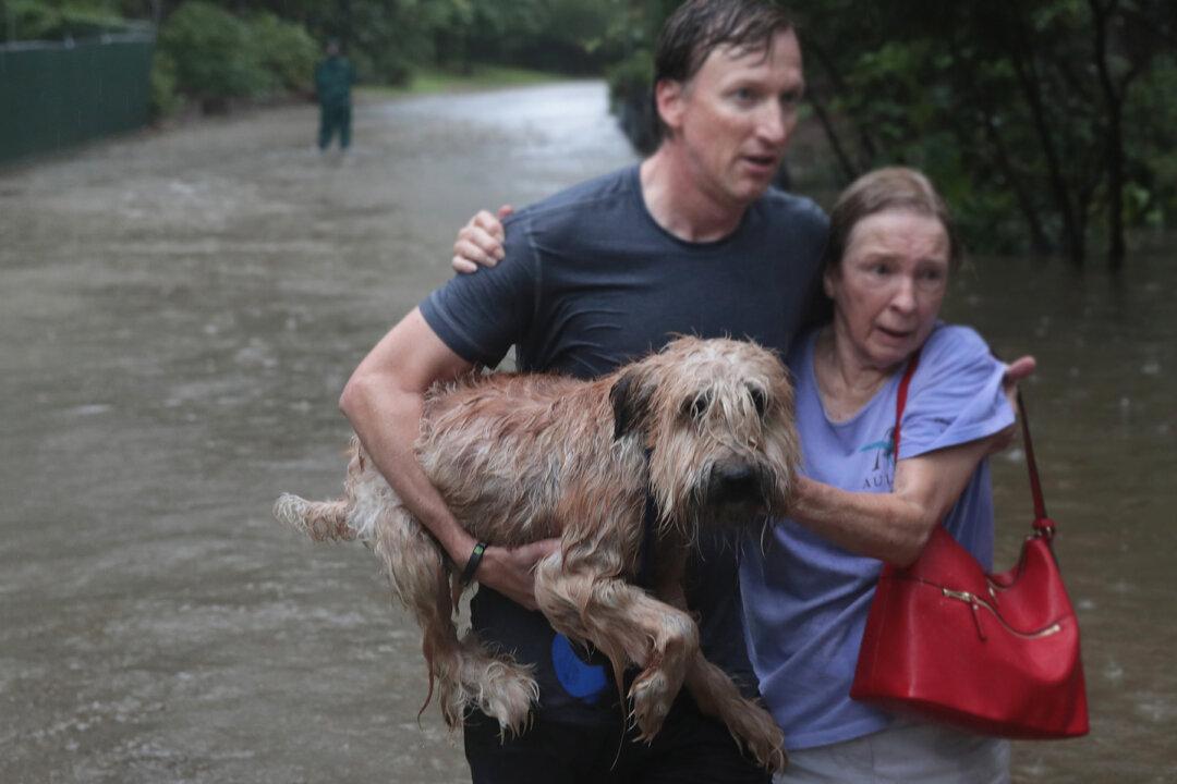 Video: Houston News Crew Rescues Dog Chained Up During Flood–Here’s How He Ended Up