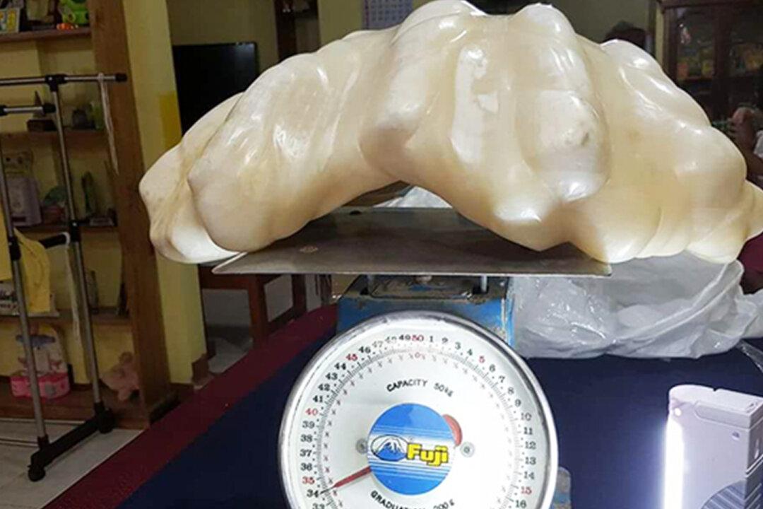 Fisherman Keeps 75lb Pearl Under Bed for Luck, 10 Years Later Stunned to Know Its Worth