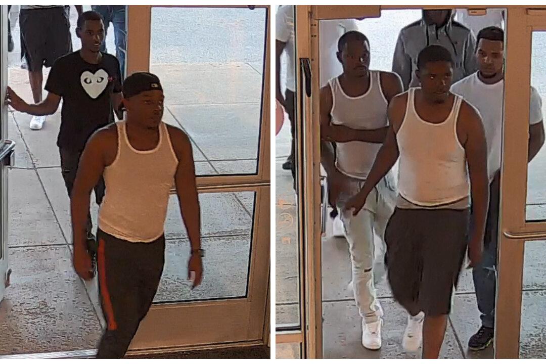 10-Person ‘Flash Mob’ Steals $30,000 in North Face Products: Video