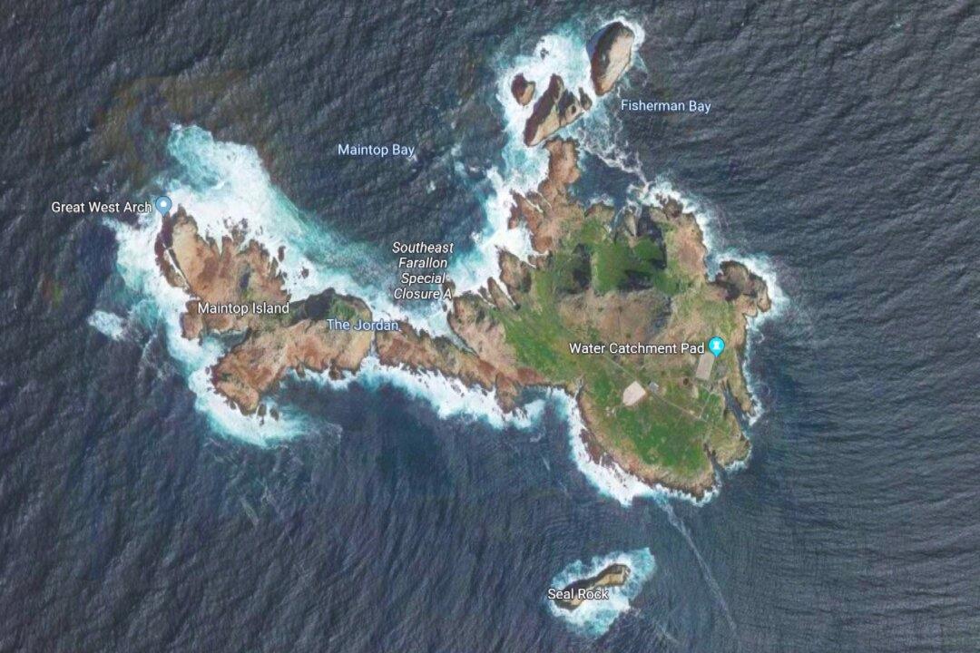 The US Wants to Start Dumping Rat Poison on These Islands. It Will Help the Birds, Scientists Say