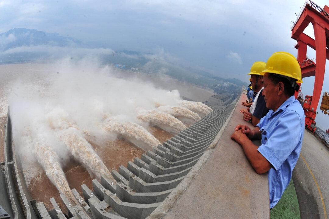 ‘Panda of the Yangtze River,’ The Giant Chinese Paddlefish, Declared Extinct