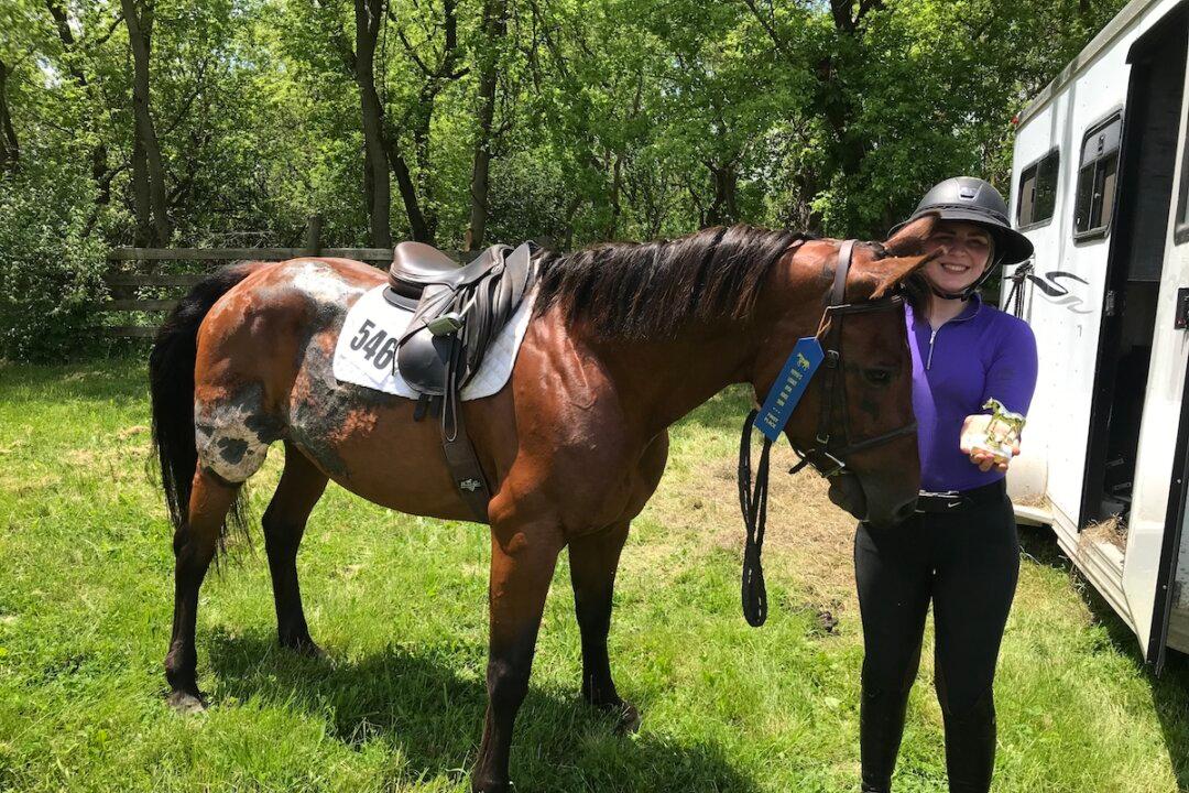 A Teen’s Mission to Rescue Horses