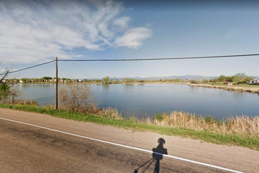 Man Feels ‘Something’ Brush Up His Leg in Water, Screams When He Sees a ‘Tiny Leg’