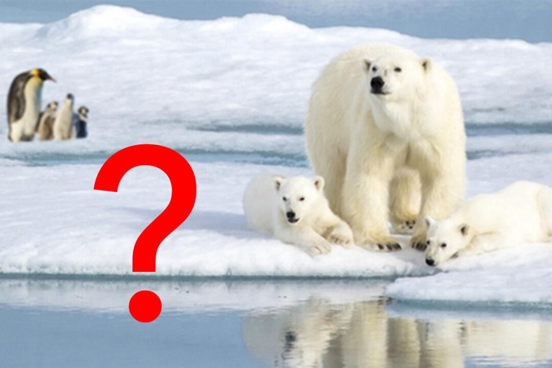 You’re a Genius If You Can Find What’s WRONG in This Photo, Only 1 in 5 People Get It