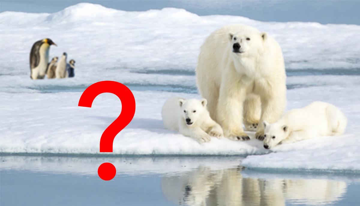 You’re a Genius If You Can Find What’s WRONG in This Photo, Only 1 in 5 People Get It