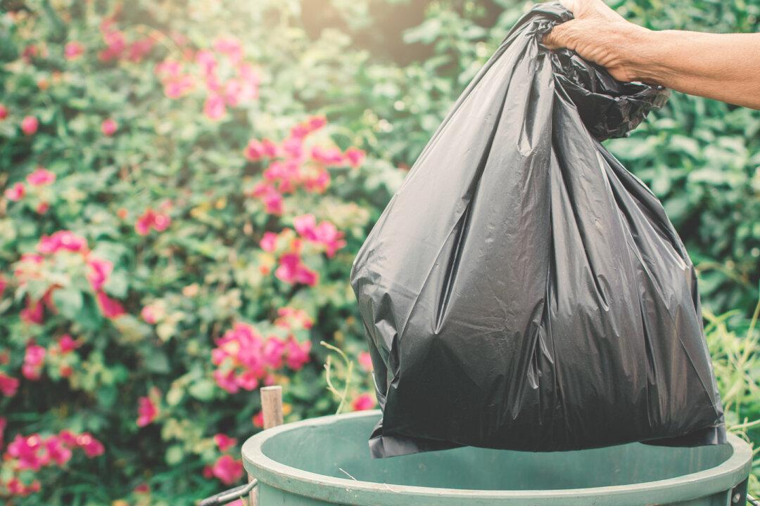 Woman Dumps 7 Newborn Pups in Trash, Then Her Lawyer Defends ‘Puppies Aren’t People’