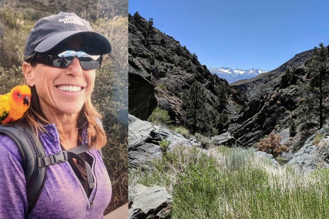 Missing California Woman Found Alive