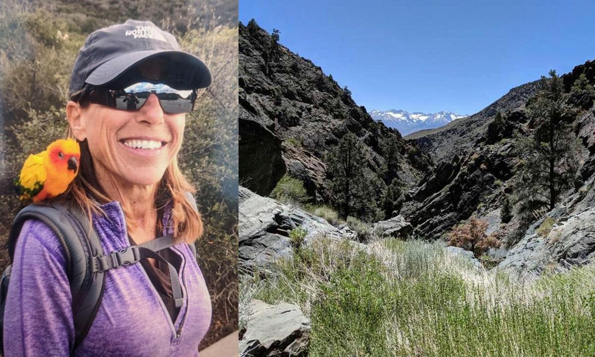 Missing California Woman Found Alive