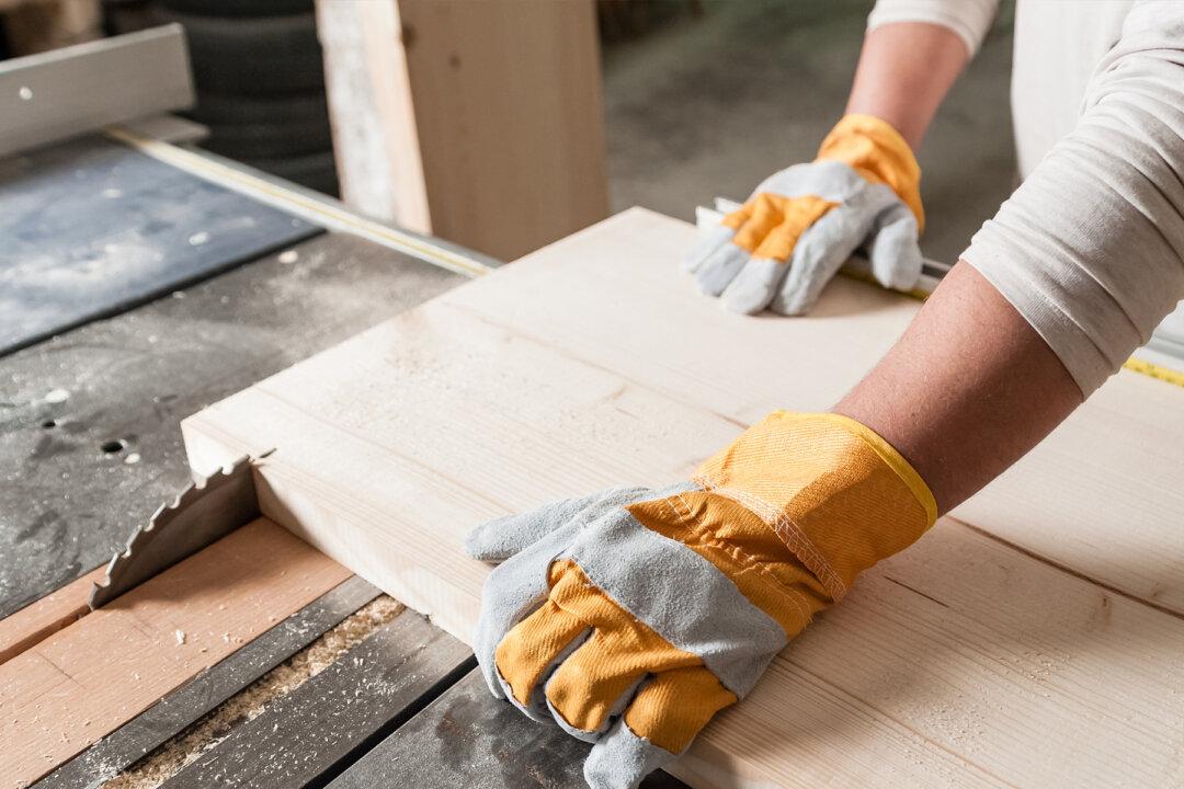 Teen Builds Own House for $1,500. See What’s Inside His 89 Sq Ft Architectural Gem