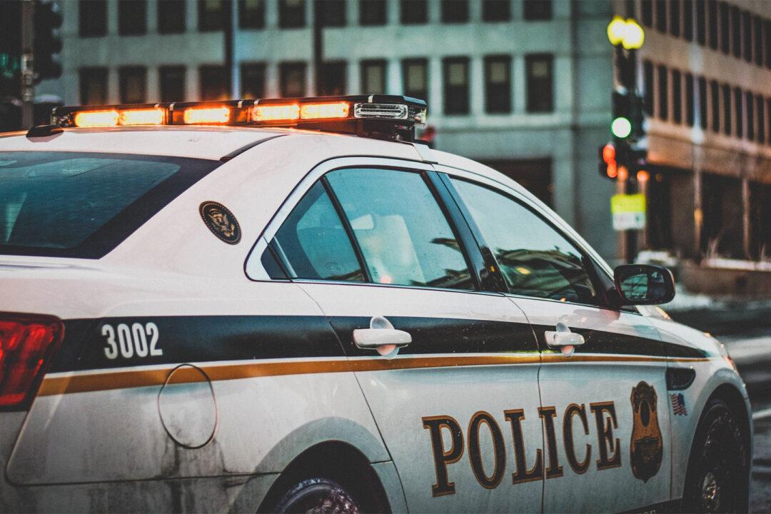 Man Caught on CCTV Abandoning Pups in Sealed Box, Police Need Help Identifying Him