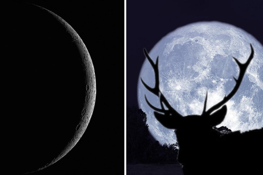‘Thunder Moon’ Lunar Eclipse Meets Saturn in the Sky Tonight–Get Ready for July 16th, 2019