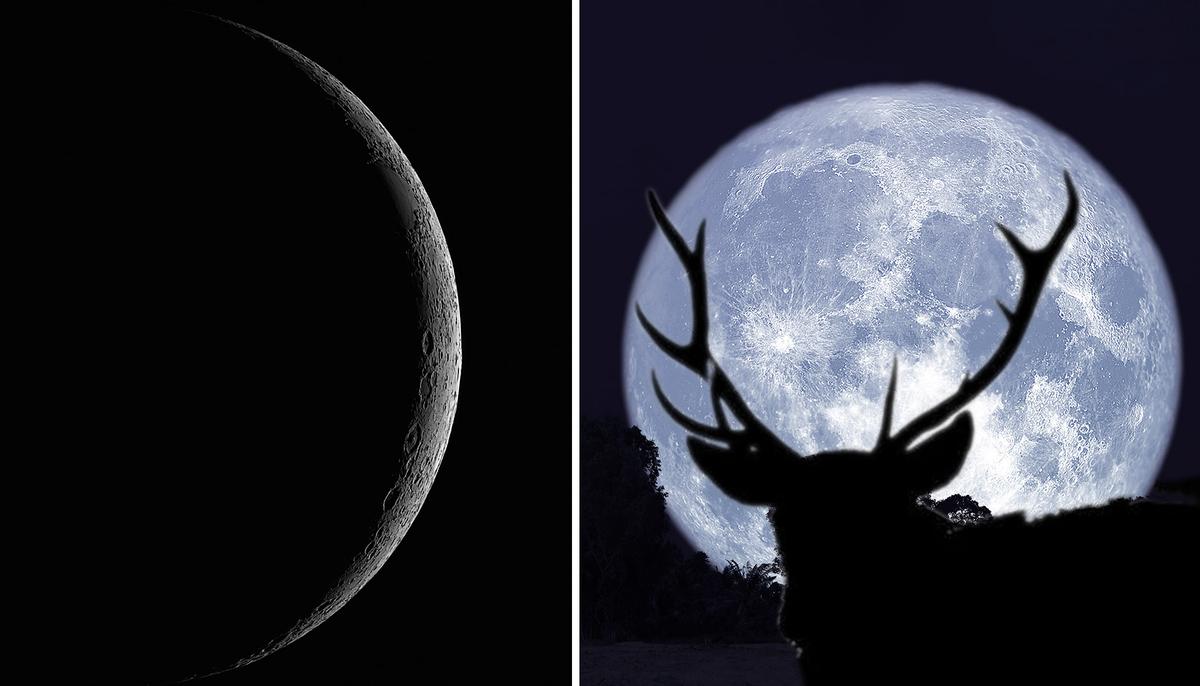 ‘Thunder Moon’ Lunar Eclipse Meets Saturn in the Sky Tonight–Get Ready for July 16th, 2019