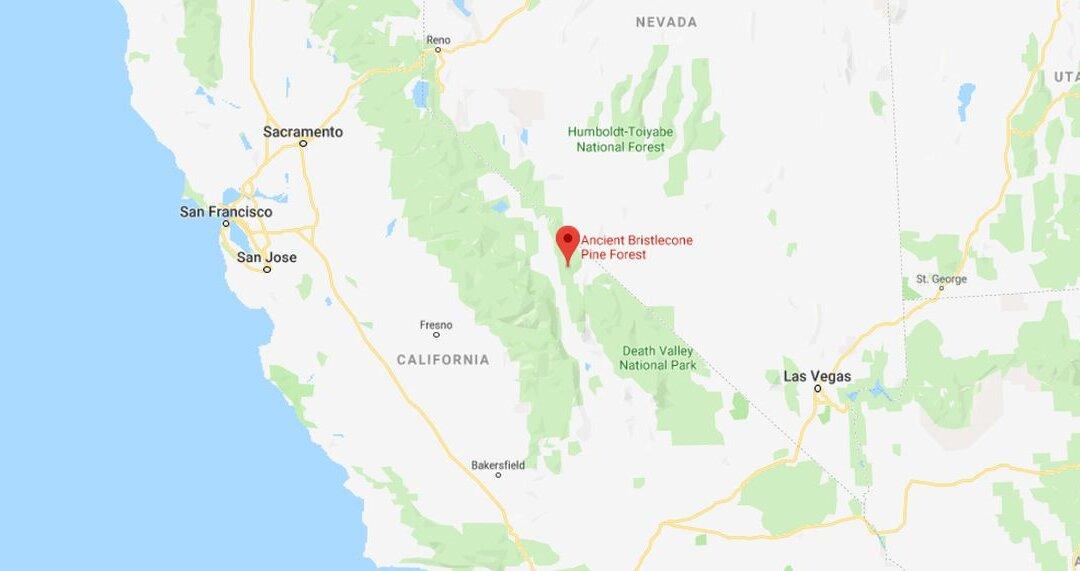 Missing Hiker Sheryl Powell Found Alive, Family Makes Disturbing Allegations