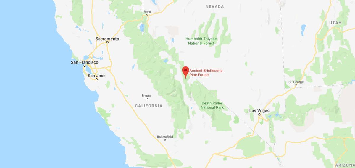 Missing Hiker Sheryl Powell Found Alive, Family Makes Disturbing Allegations