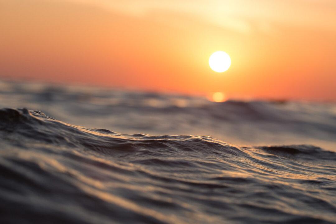 Tourists Were Filming the Calm Ocean, Just 8 Seconds Later the Craziest Thing Happens