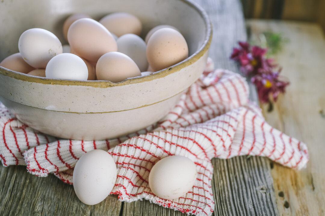 Couple Finds Abandoned Egg on Their Patio, and a Tiny Miracle Ensues