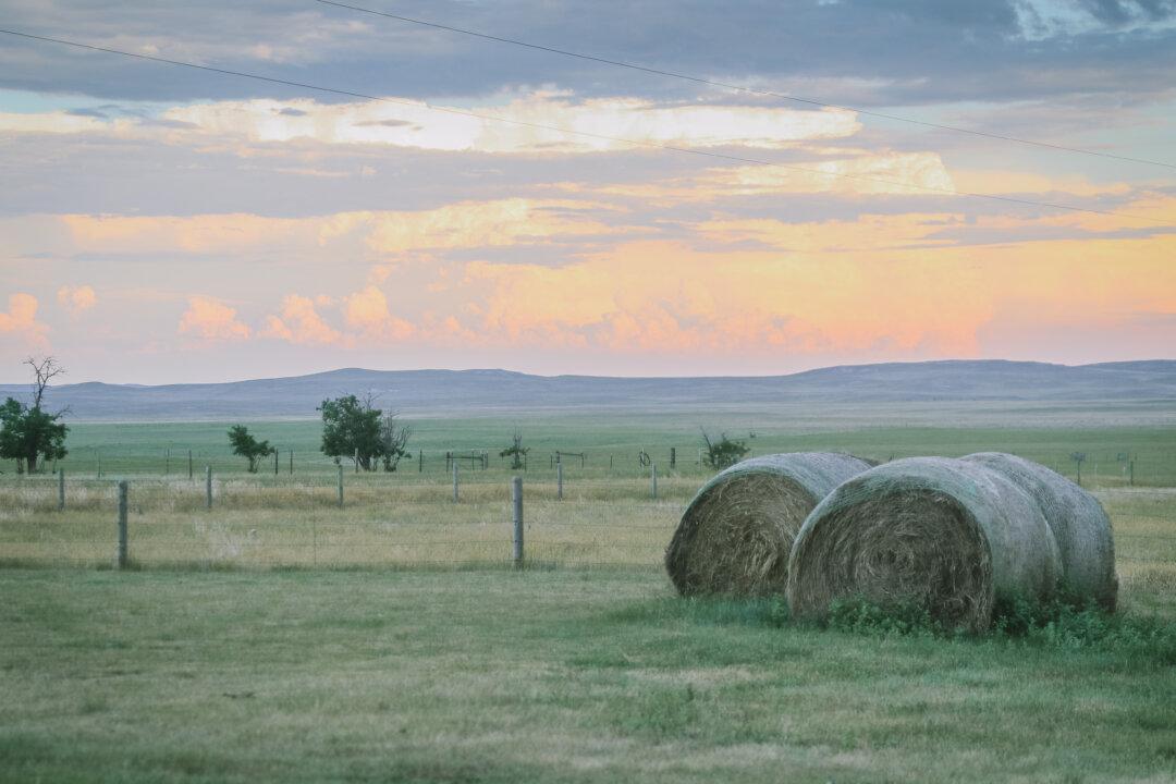 Why Homestead? The Case for Being Old-Fashioned on Purpose