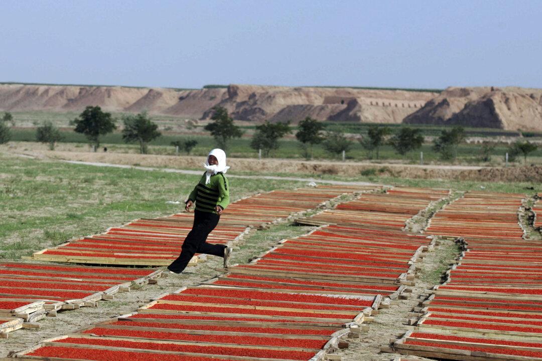 Girl Beaten to Death by Relative So She Wouldn’t Tell Family About a Fall