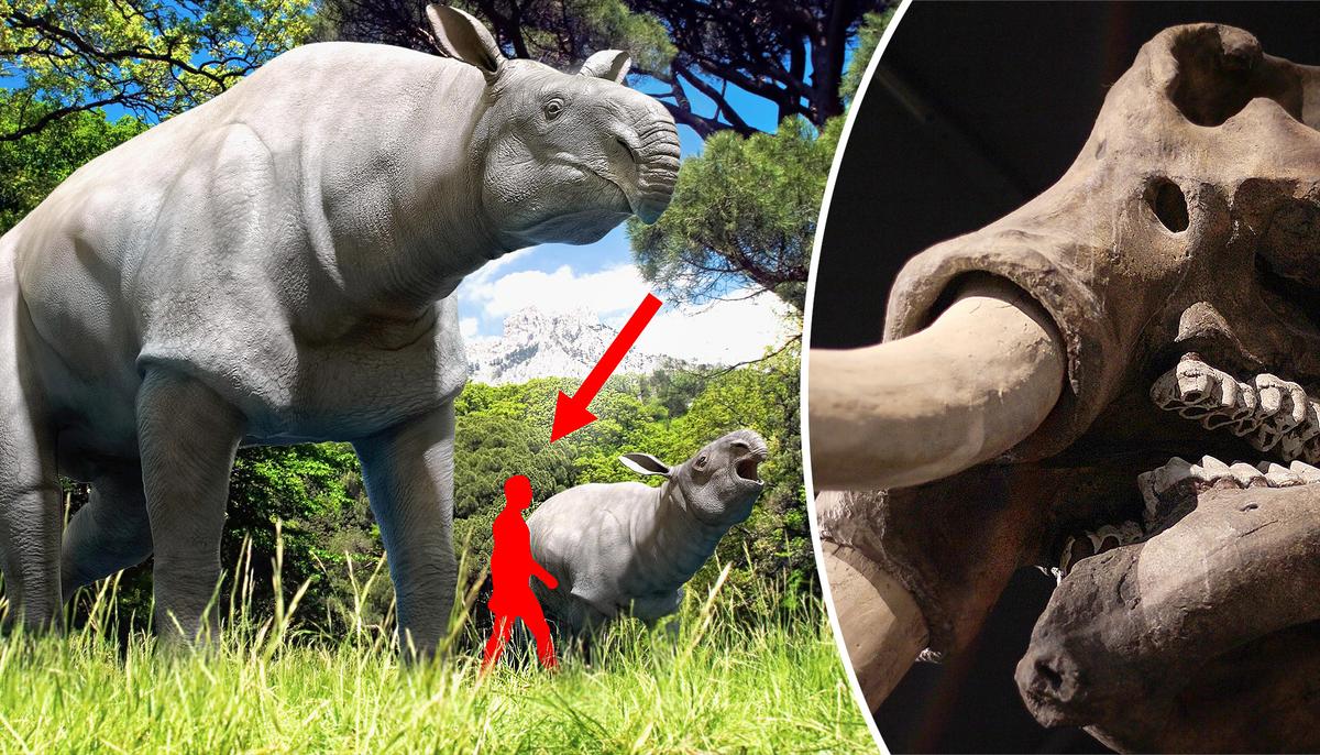 5 Most Gigantic Prehistoric Mammals to Ever Walk the Earth–Warm-Blooded Dinosaurs, Practically