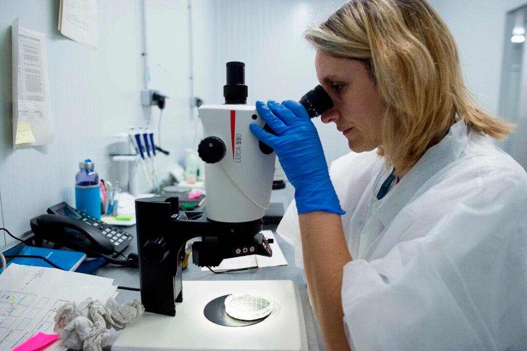 Blood-Sucking ‘Kissing Bug’ Which Has Potentially Deadly Bite Spotted Throughout US