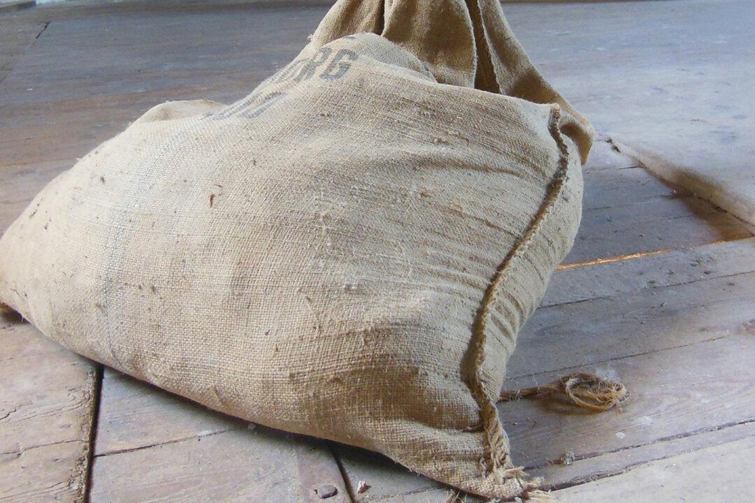 Man Sees Dogs Wrapped in Sacks Being Sold for Meat, He Knows Exactly What to Do