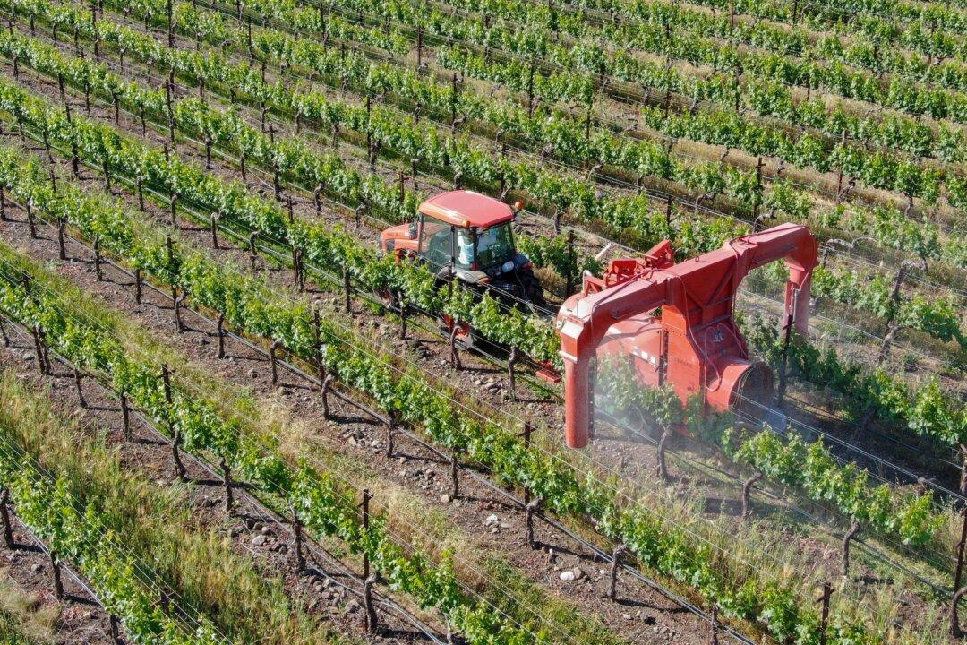 US Lags Behind Other Countries in Regulating Pesticide