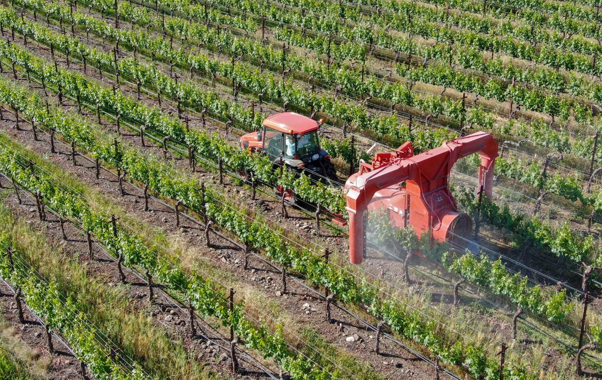 Toxic Weed Killer Found in 1 Out of 3 Americans, Study Shows