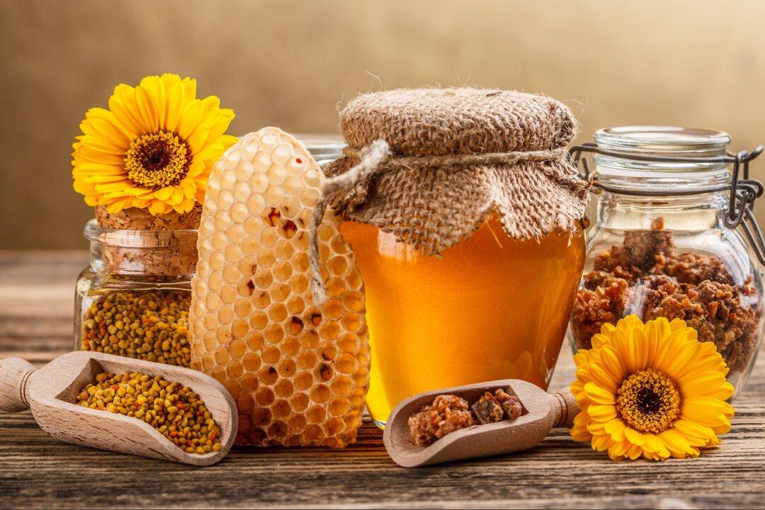 Honey Found To Have Potent Anti-Influenza Activity
