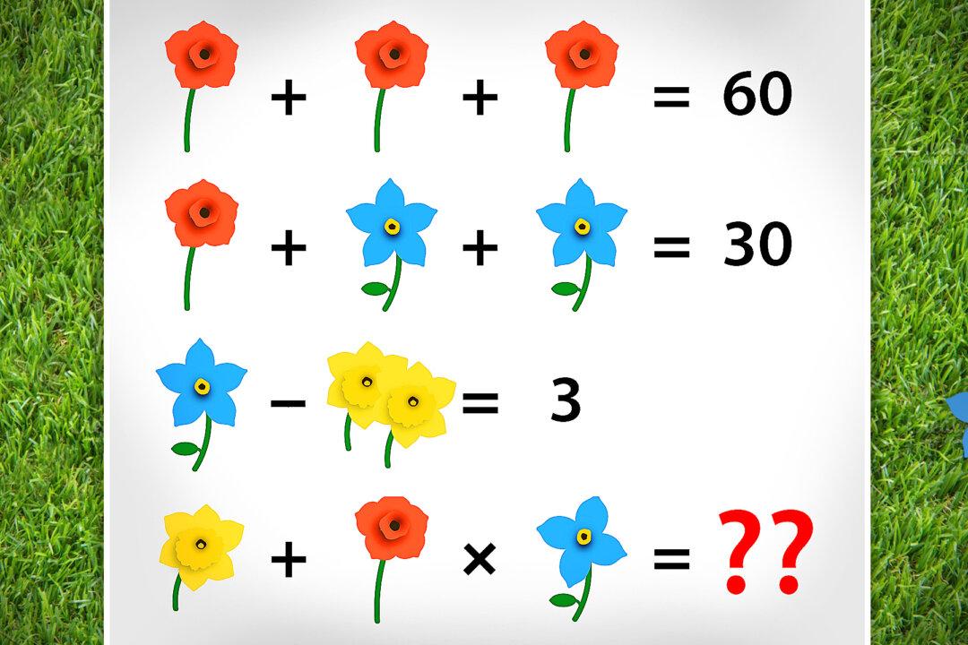 Can You Solve This Controversial Math Problem?–People Are Getting Into Heated Arguments Over It