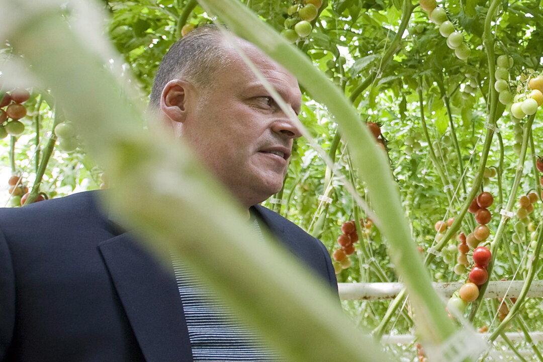 Air Search for Missing Quebec Businessman and Son Suspended by Provincial Police