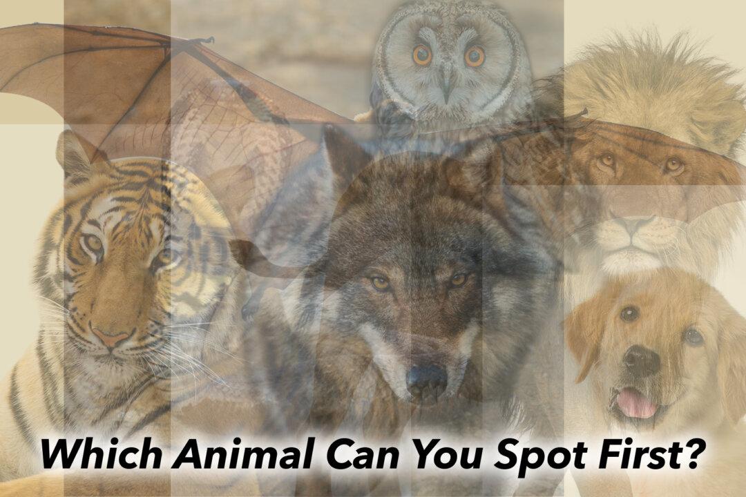 The First Animal You See in This Psychology Illusion Reveals Your True Innermost Self