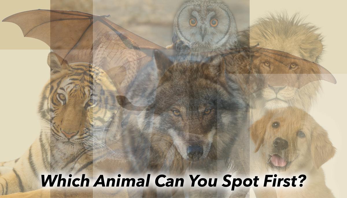 The First Animal You See in This Psychology Illusion Reveals Your True Innermost Self