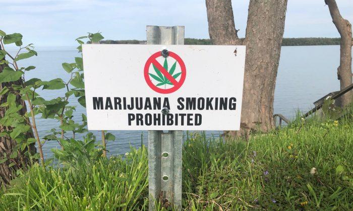 Cannabis Use Connected to Worsening Memory, Slower Reaction Time: Study