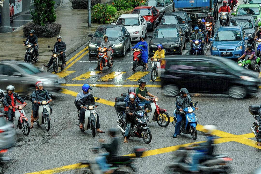 Dog Tries to Wake Its Dead Friend on Busy Road for 30 Minutes, Then Someone Comes