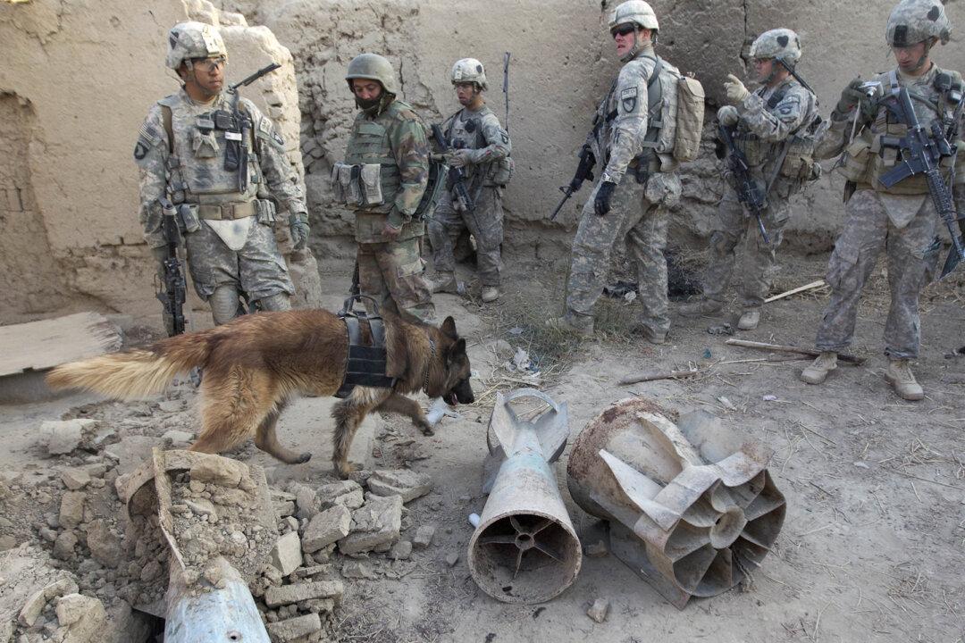 British K-9 Officer Saves SAS Soldiers Ambushed by Terrorists, ‘Rips’ Out Jihadi’s Throat