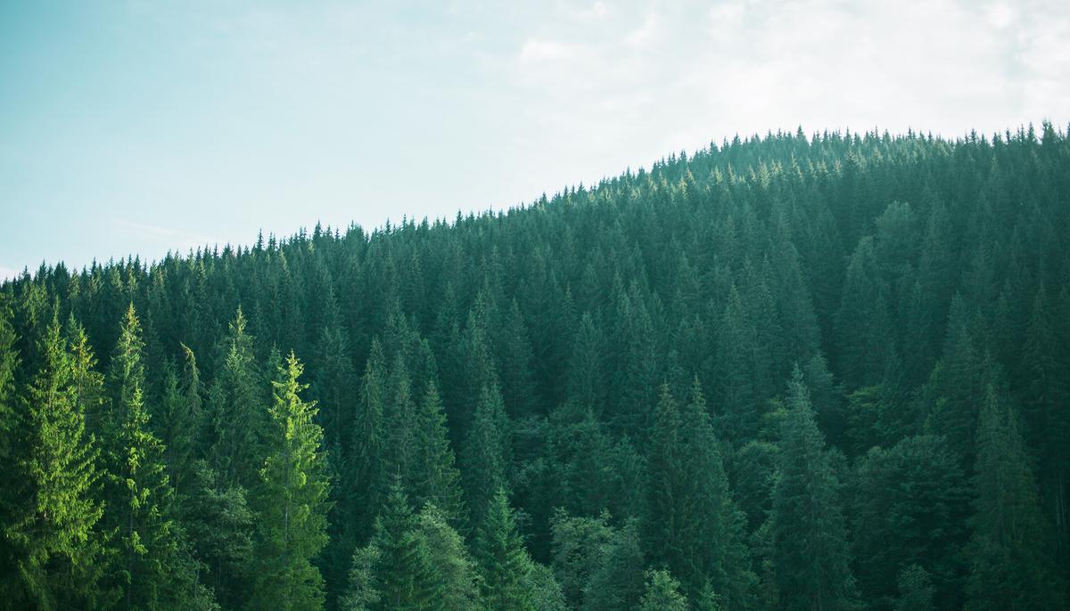Abandoned Cottage Reveals Old Furniture, Forgotten Memories